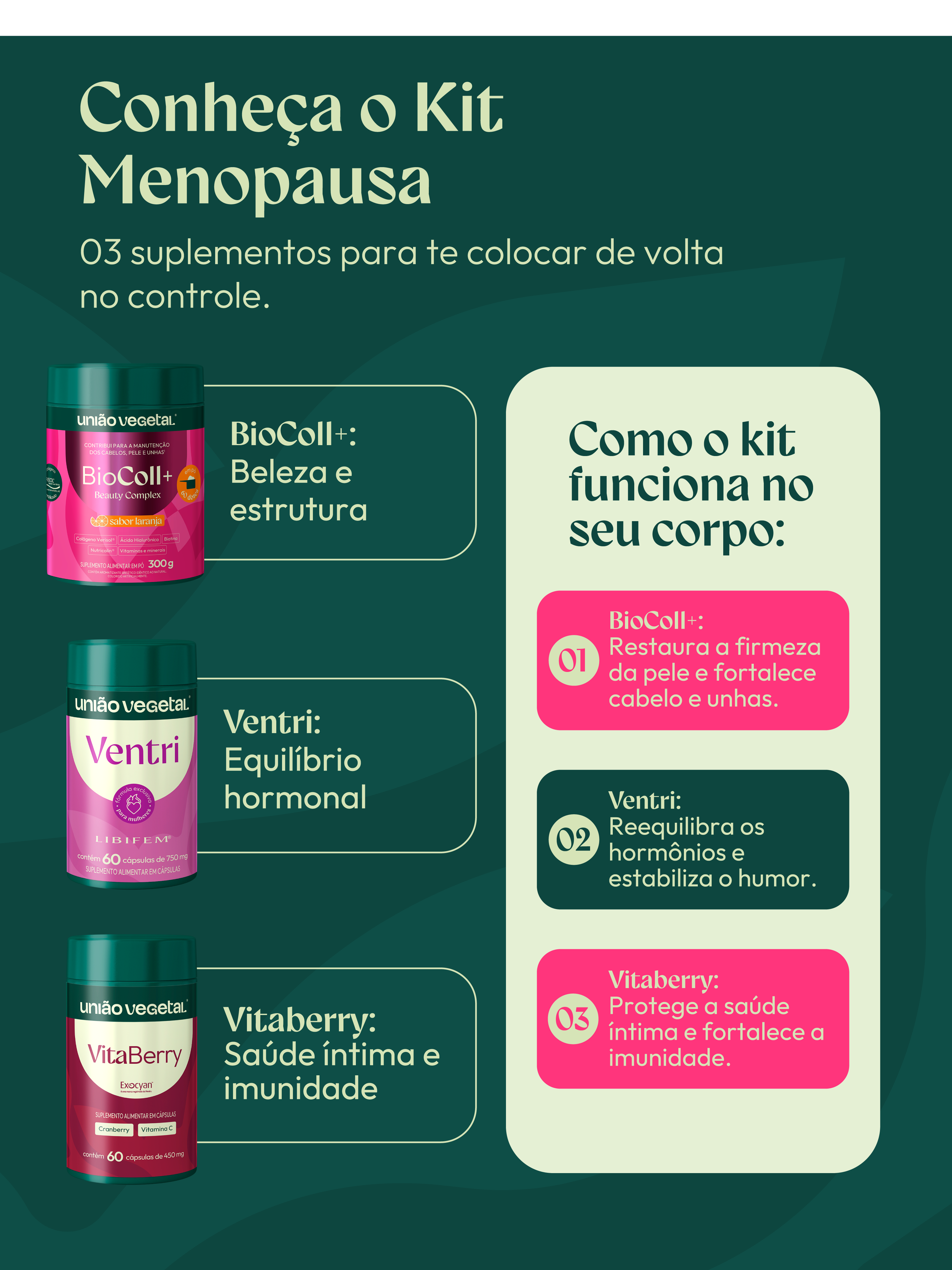 Kit Saúde da Mulher | Ventri + Biocoll+ em Pó + VitaBerry – União